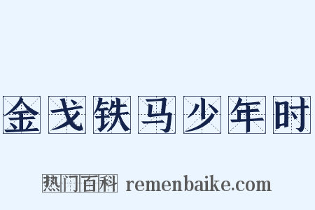 金戈铁马少年时是什么意思的图片